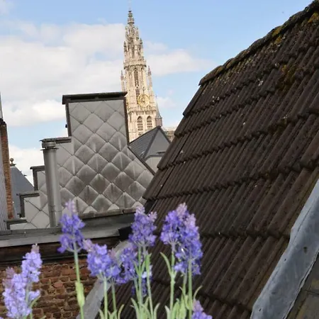 Holiday home Huize Amoras Antwerp